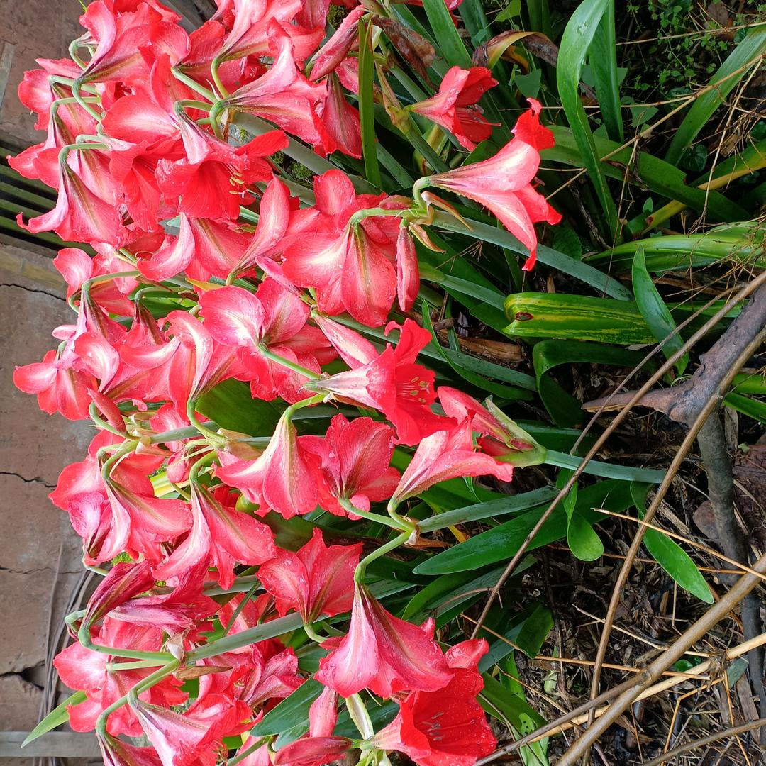 朱儿、孝平，空调、水电、装修等，维修安装