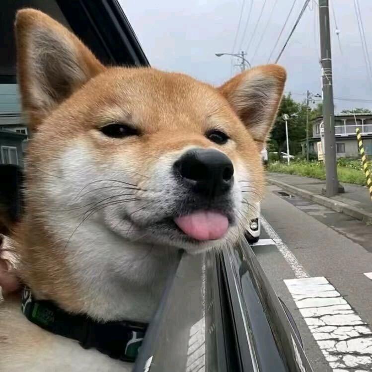 天斧 77