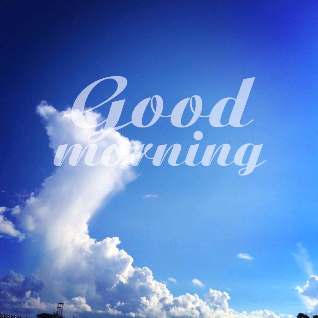 @张先森的直播间