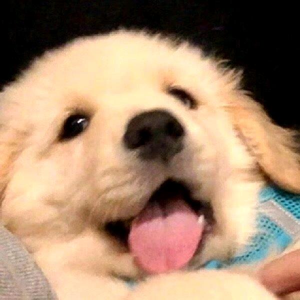 🐲豆莎包🌲8700