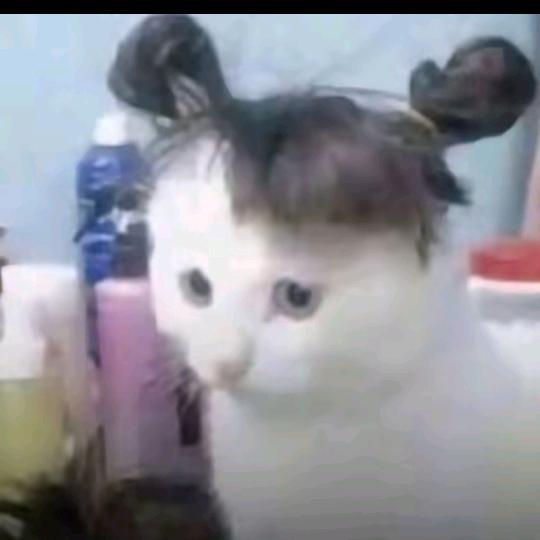 王院长（真诚待人）