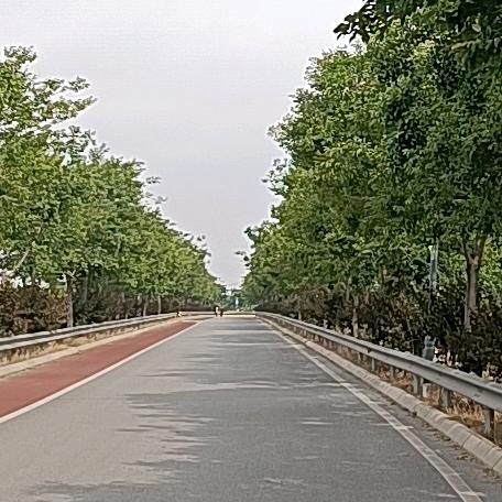 蓝天白云_23874