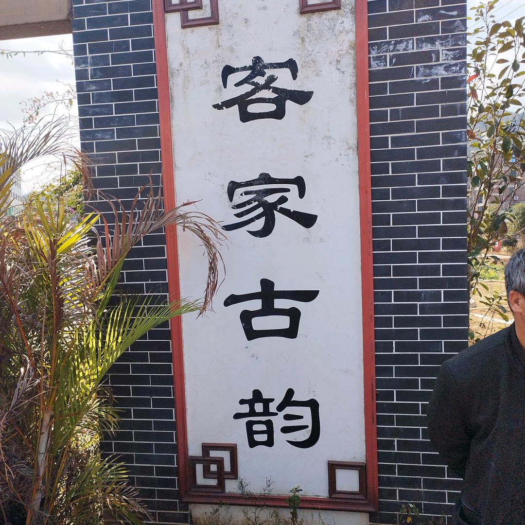 中国龙