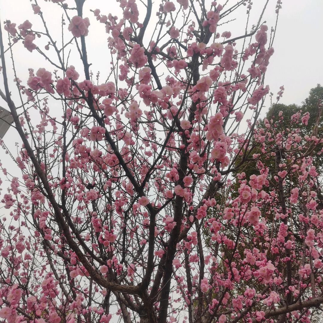 开锁换锁配汽车钥匙