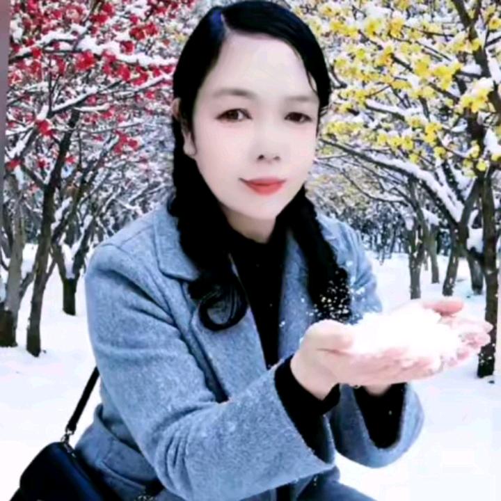 黎芝谷