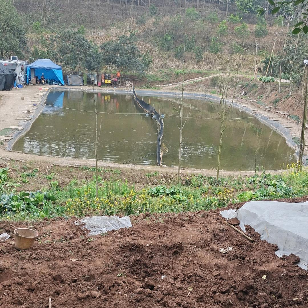 小曾垂钓基地