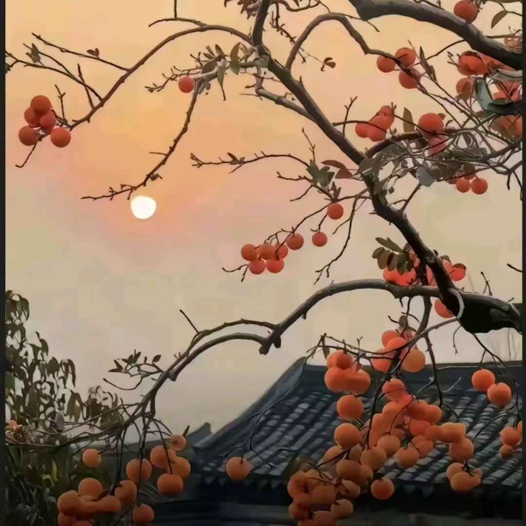 梅好如初
