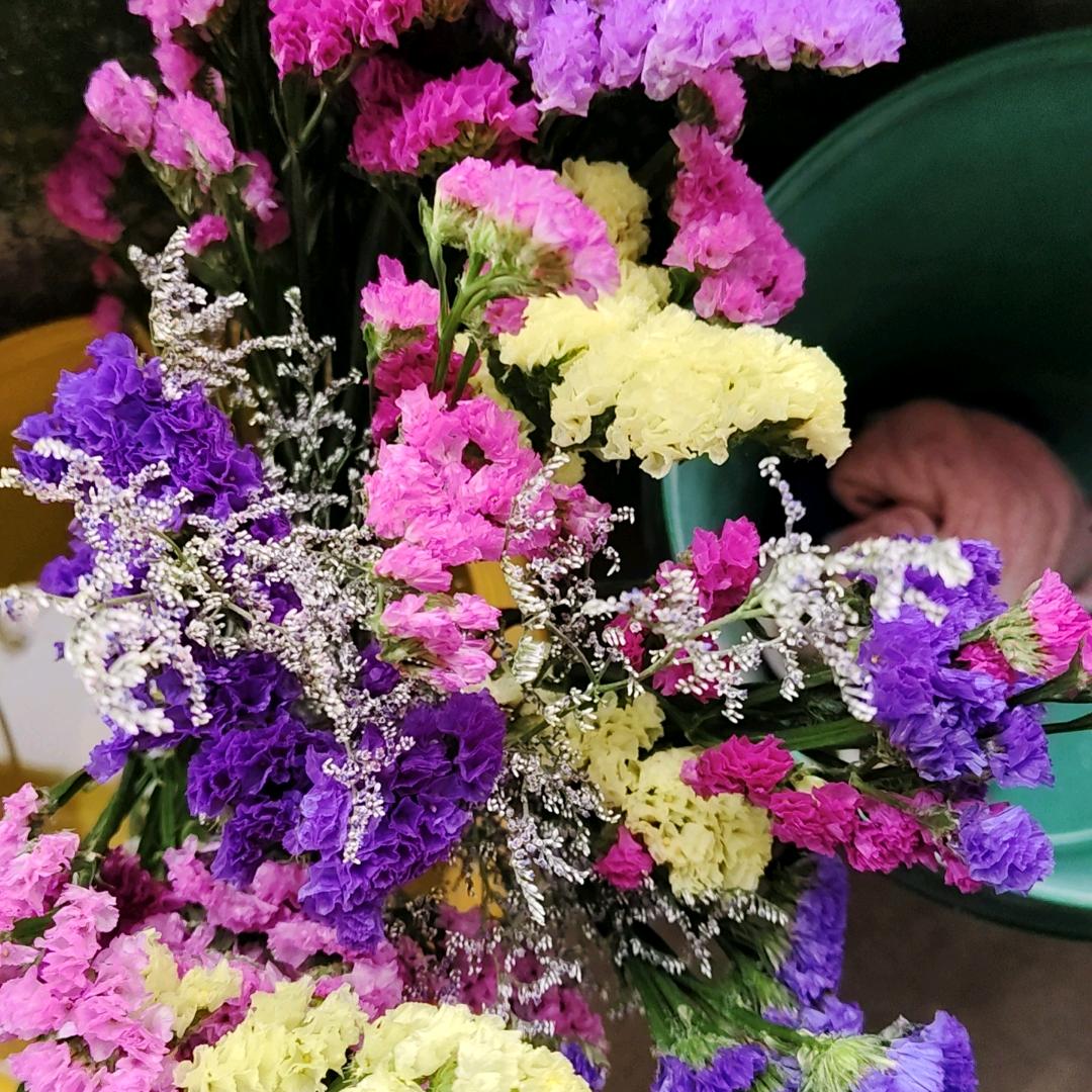 蝶恋花