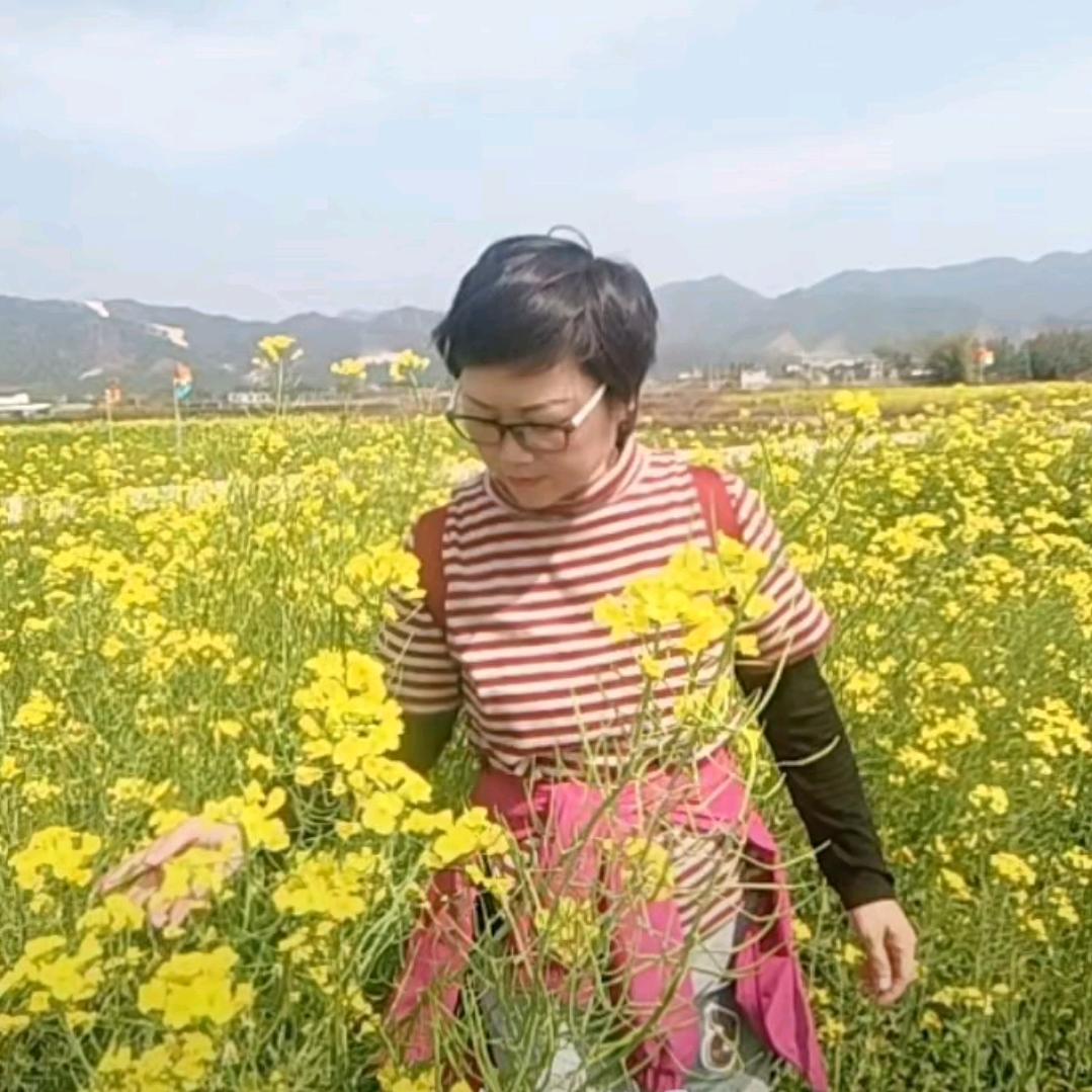 木子来喽