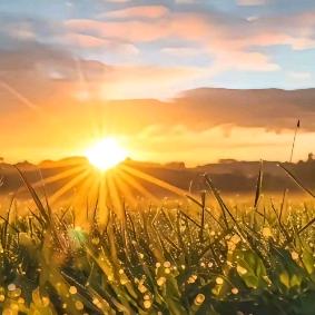 johnny boy  李先生