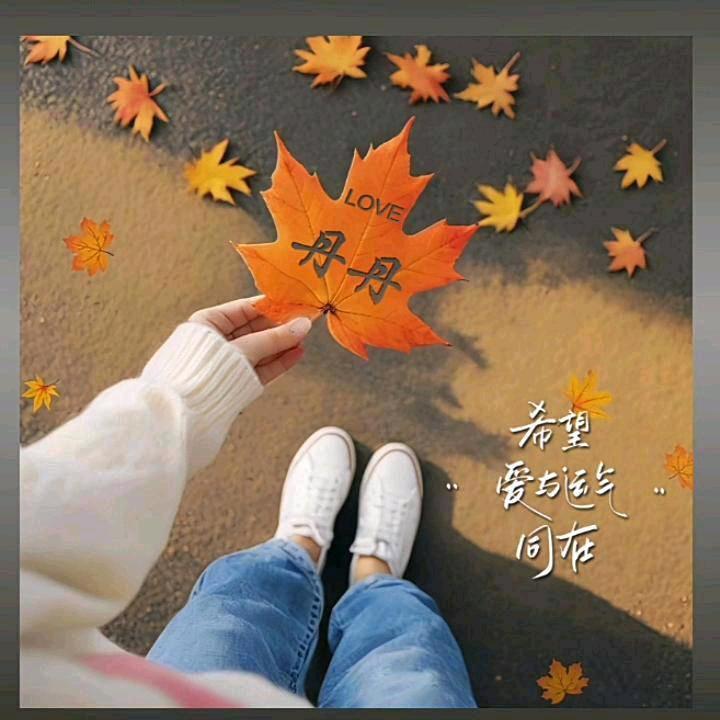 悄然💐