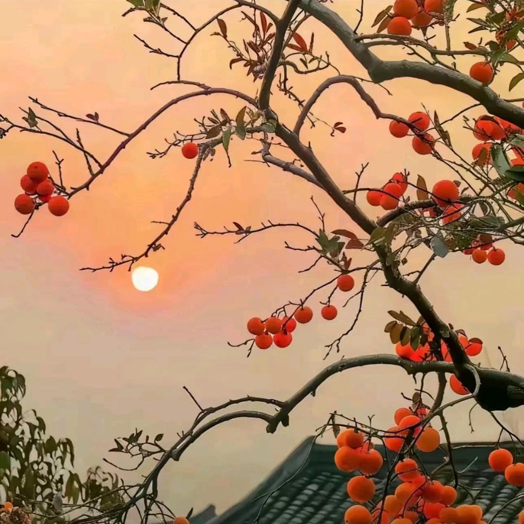 天黑天蓝