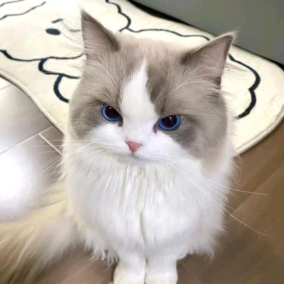 平安喜樂(๑>ᴗ<๑）