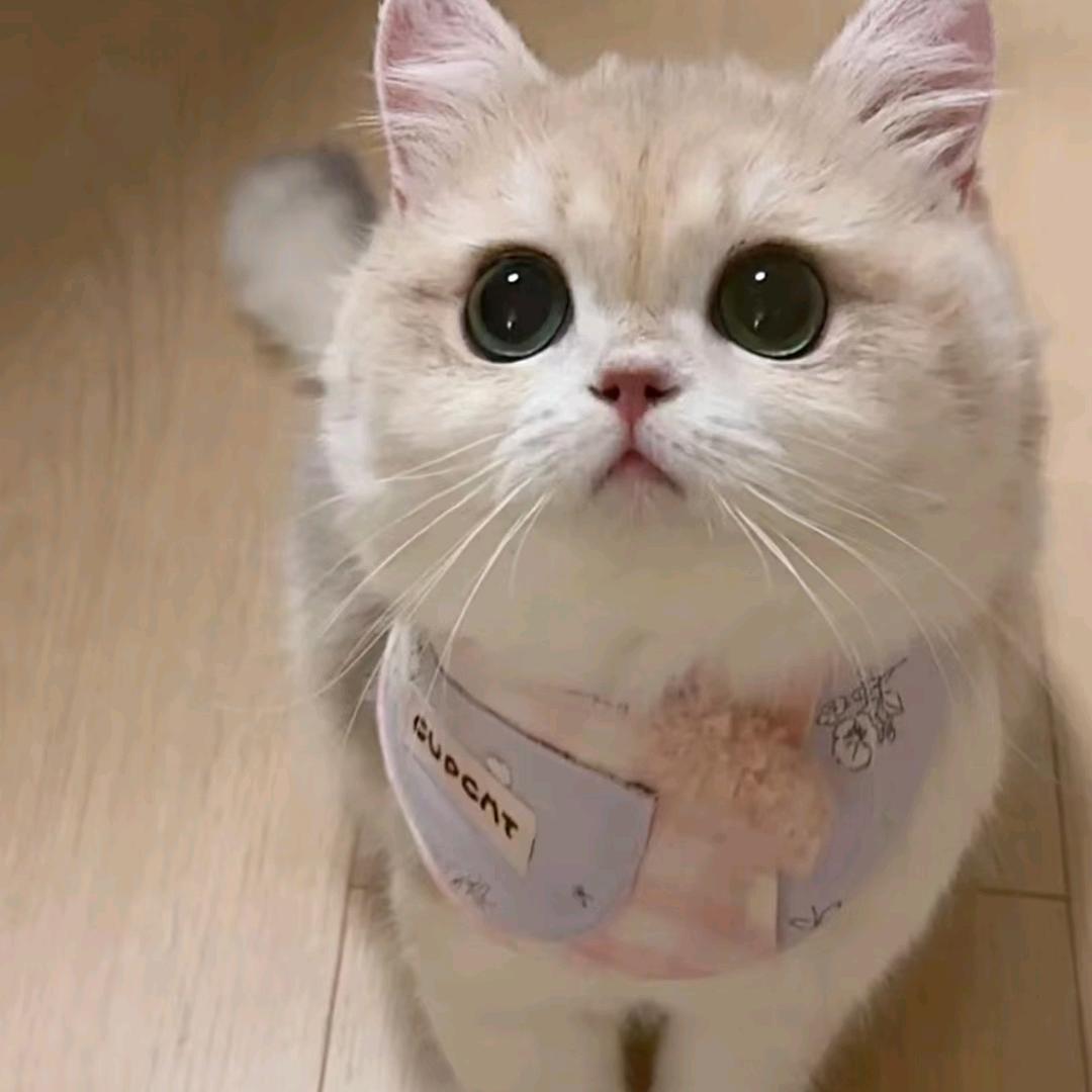 吴小姐。。
