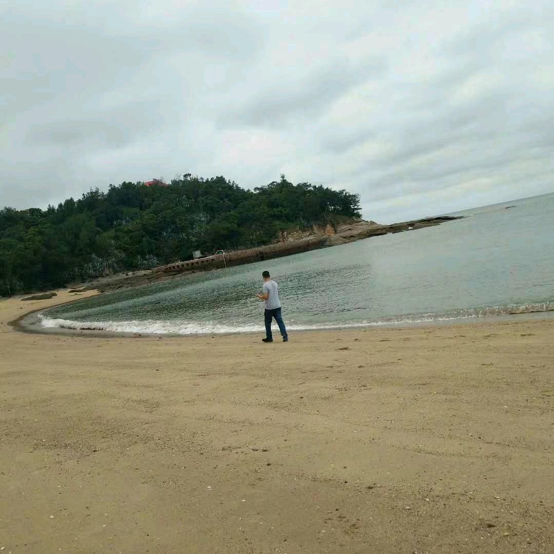 政 鸽