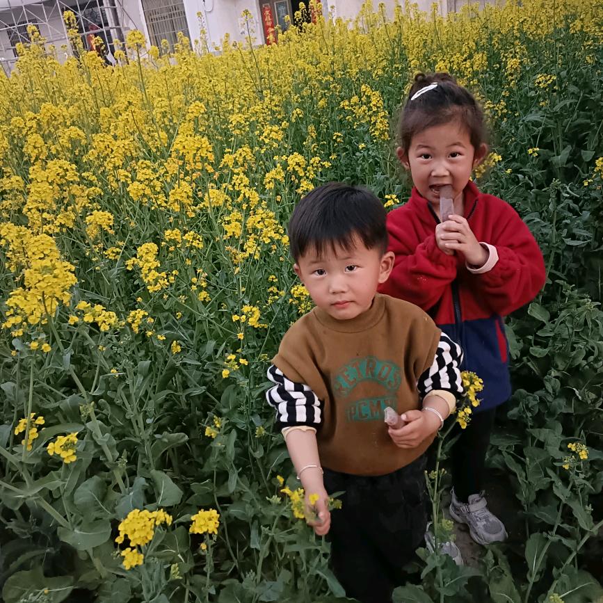 两个宝宝奶奶