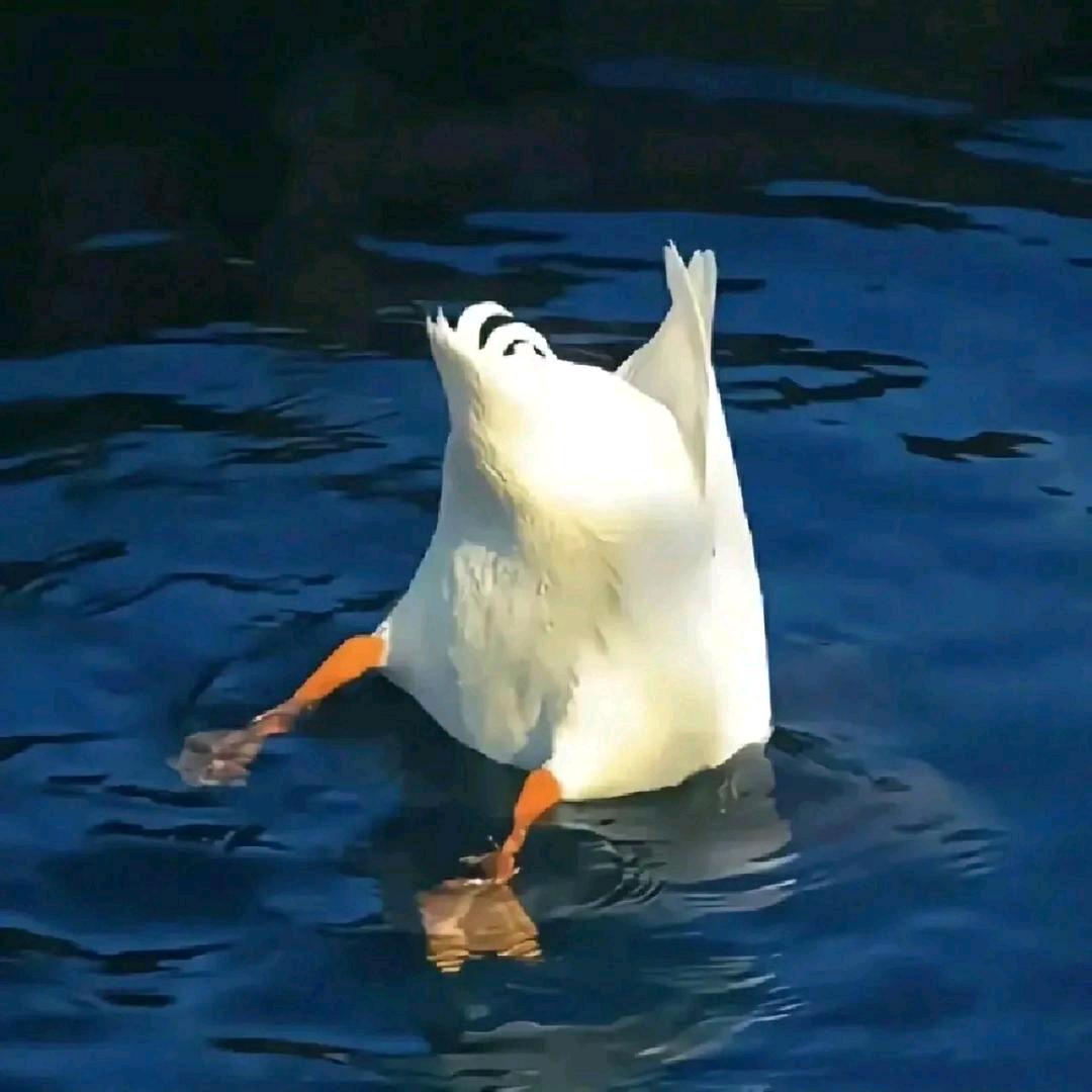 不太对劲