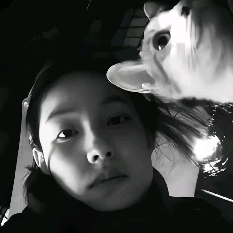 yy