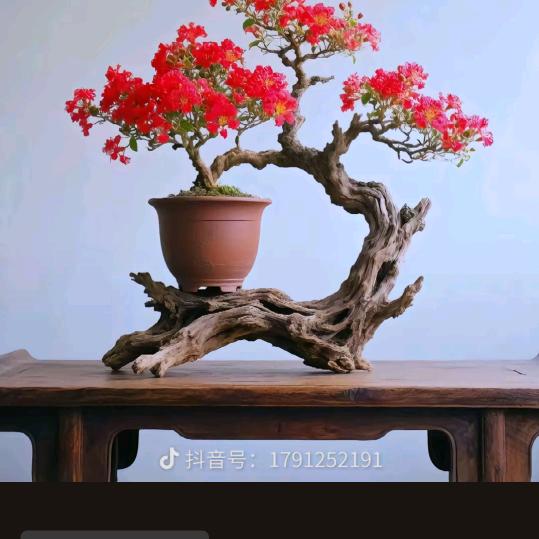 卡行天下