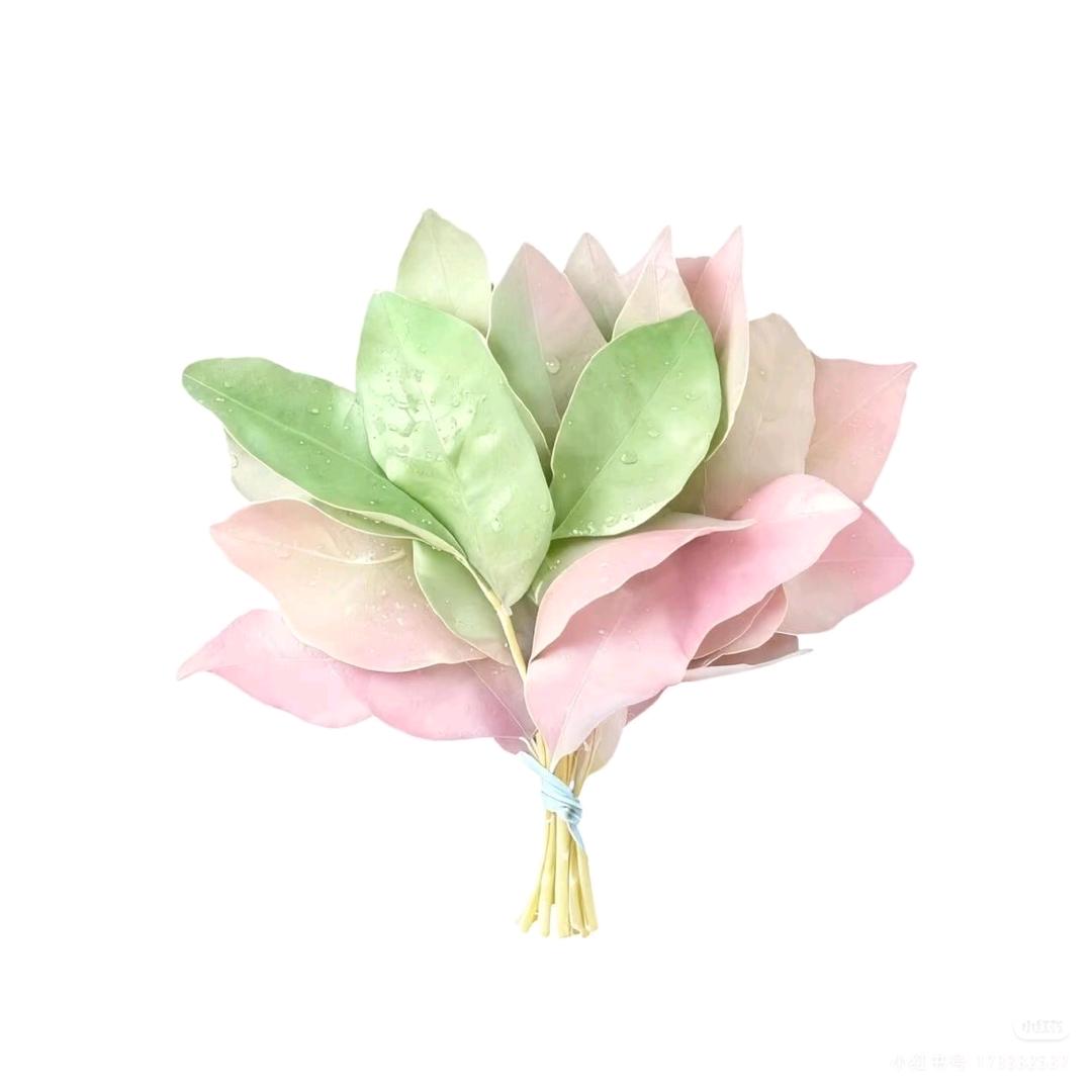 橘子不是唯一的水果