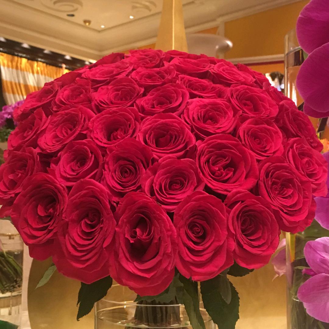 修水红姐，老五