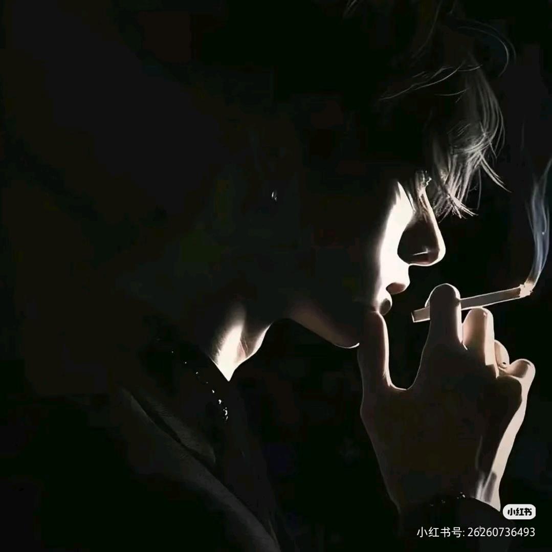 蜡笔小辛