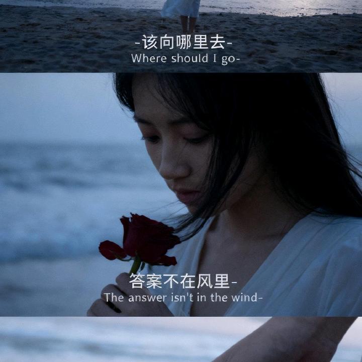 猫言轻语