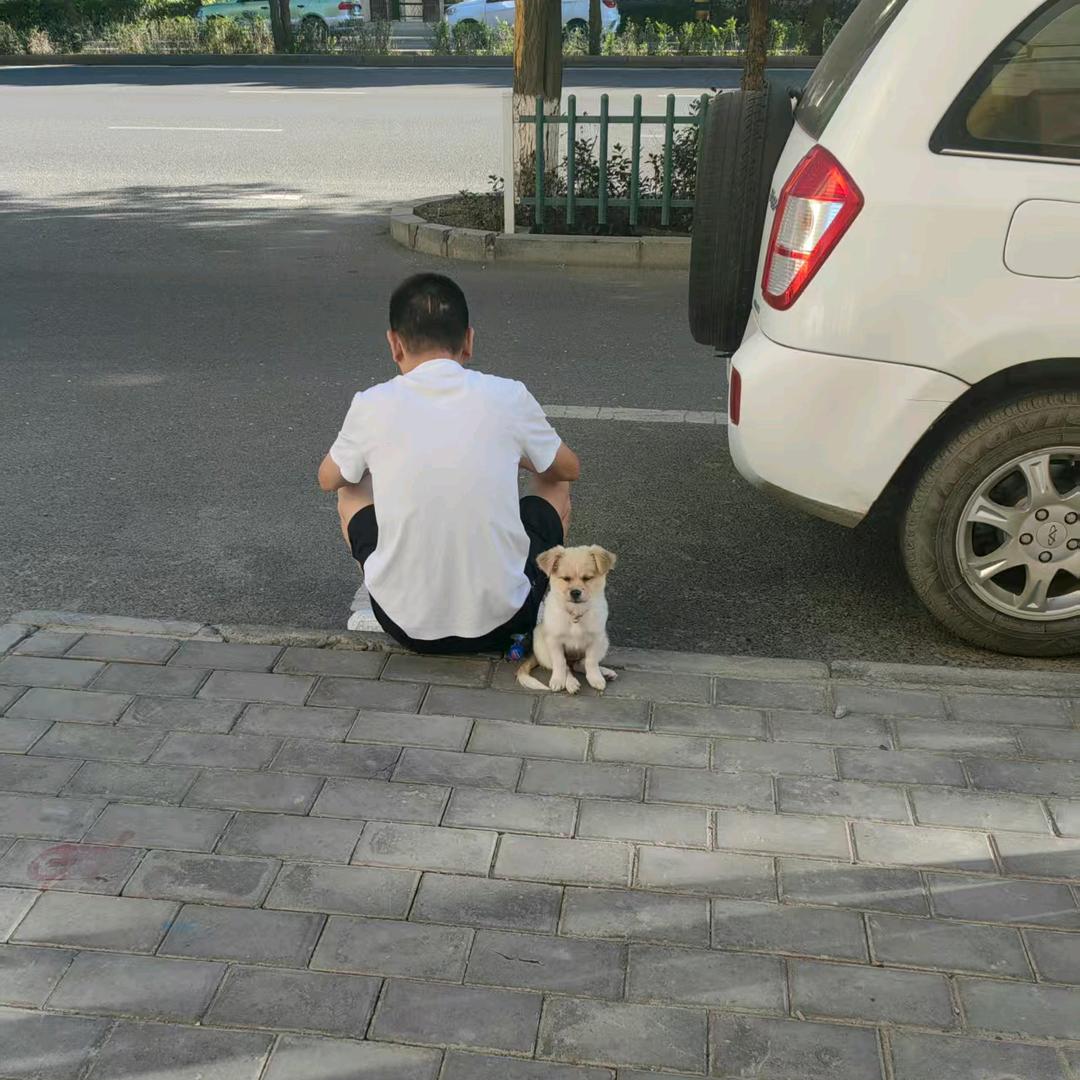 老余跳一跳