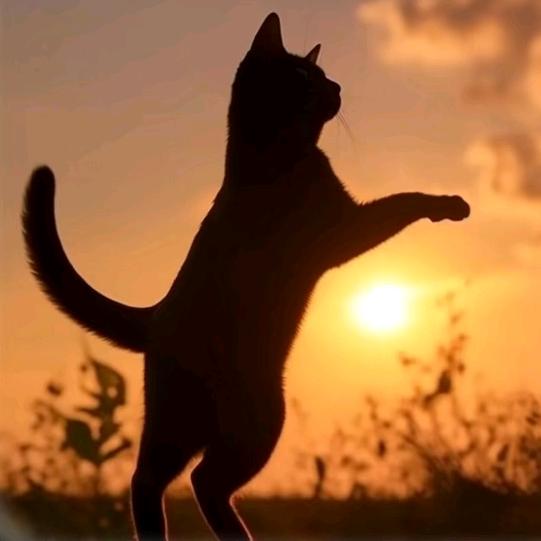 AA 你若安好 便是晴天 