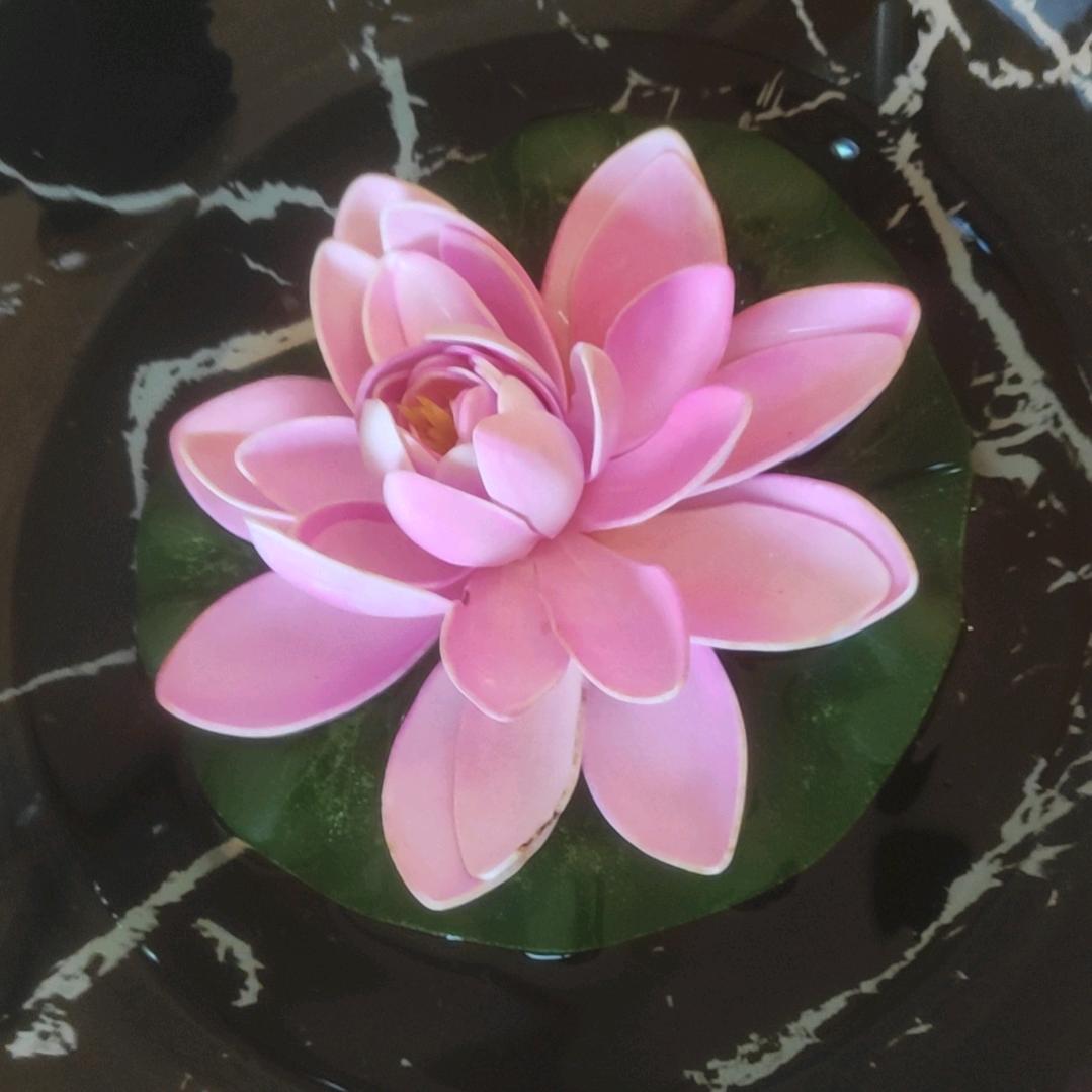 活得精彩