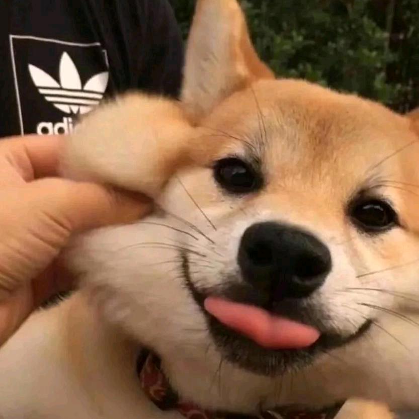 祝涛
