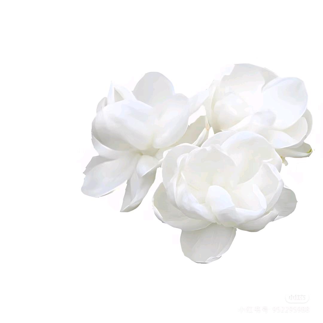 茉莉