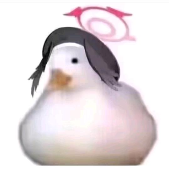 被傲娇支配的一生