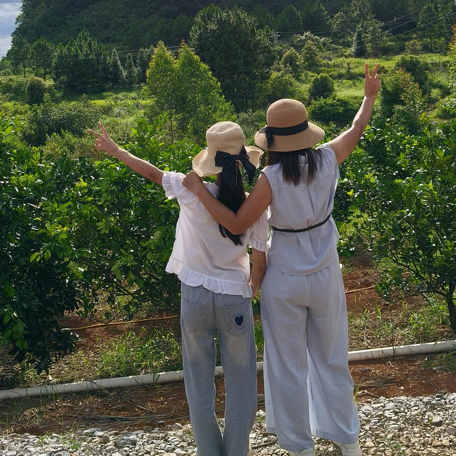 *･一缕*･.阳光💭