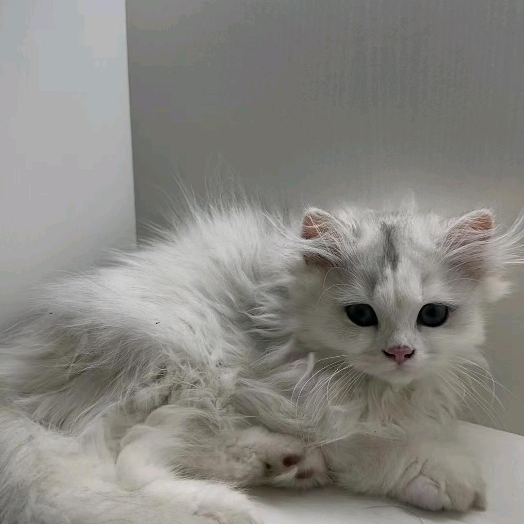 🔆🔅🔆🔅🔆🔅  等我变成光