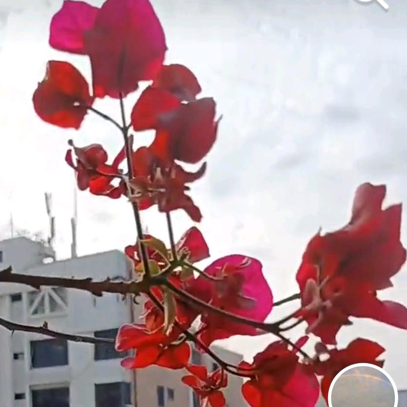 谢娟姐