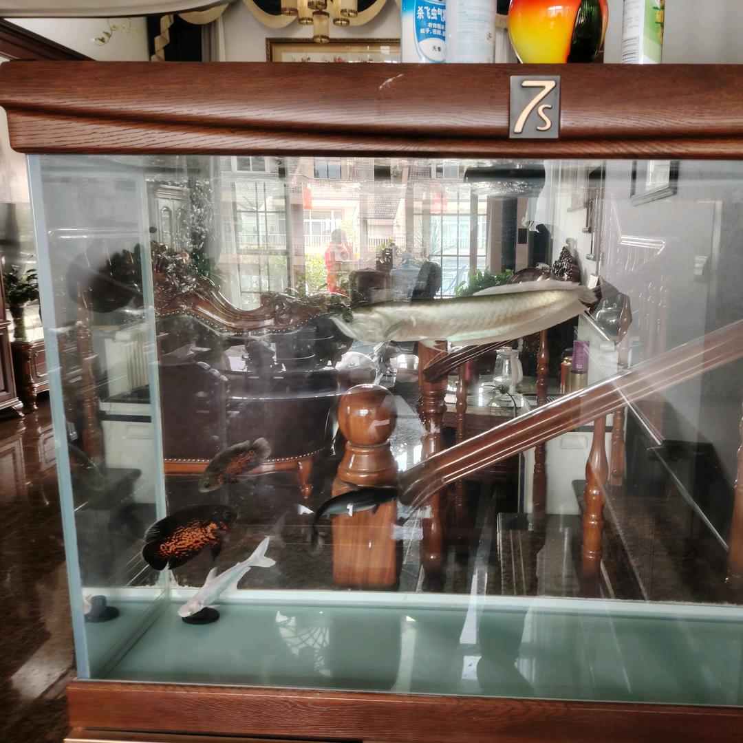 㒱滎亊黂（蔖皚）