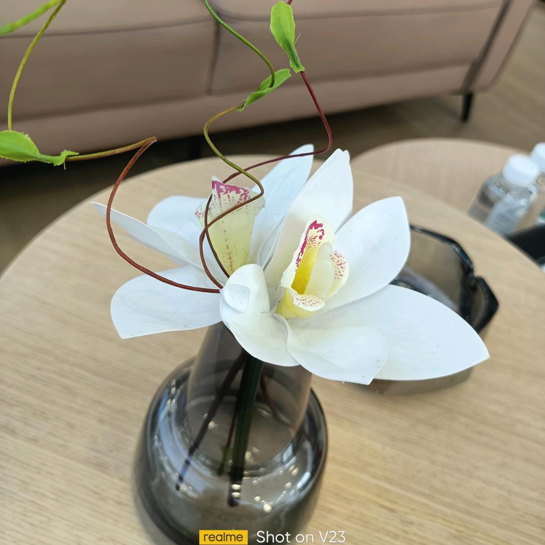 封心锁爱