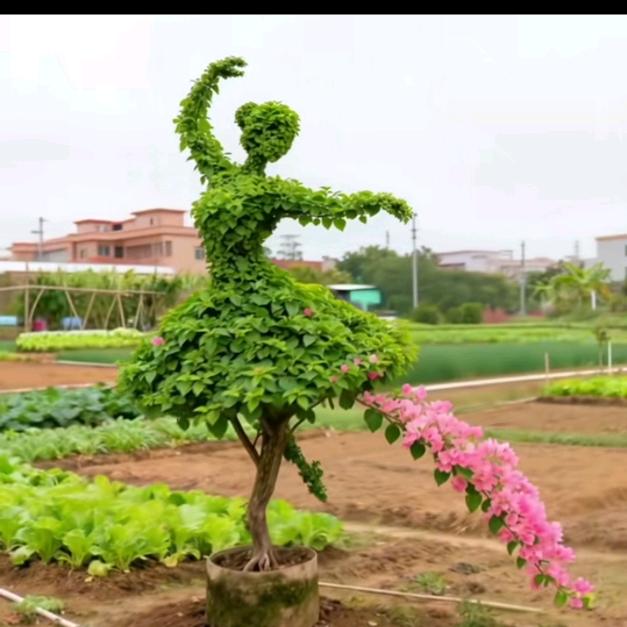 毕节房地产小朱