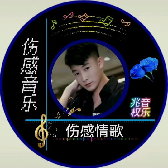 张哥💎伤感歌曲💎DJ舞曲