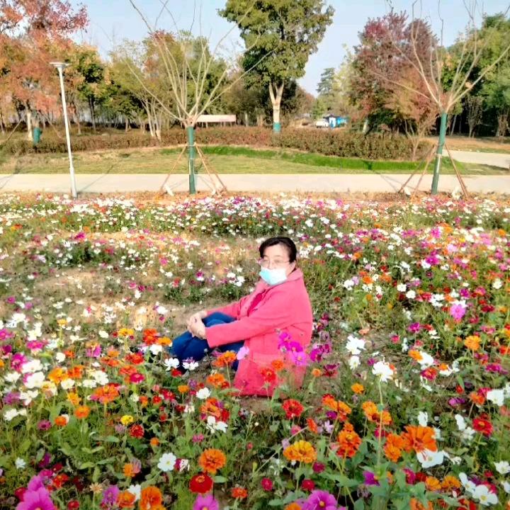 时光如烟