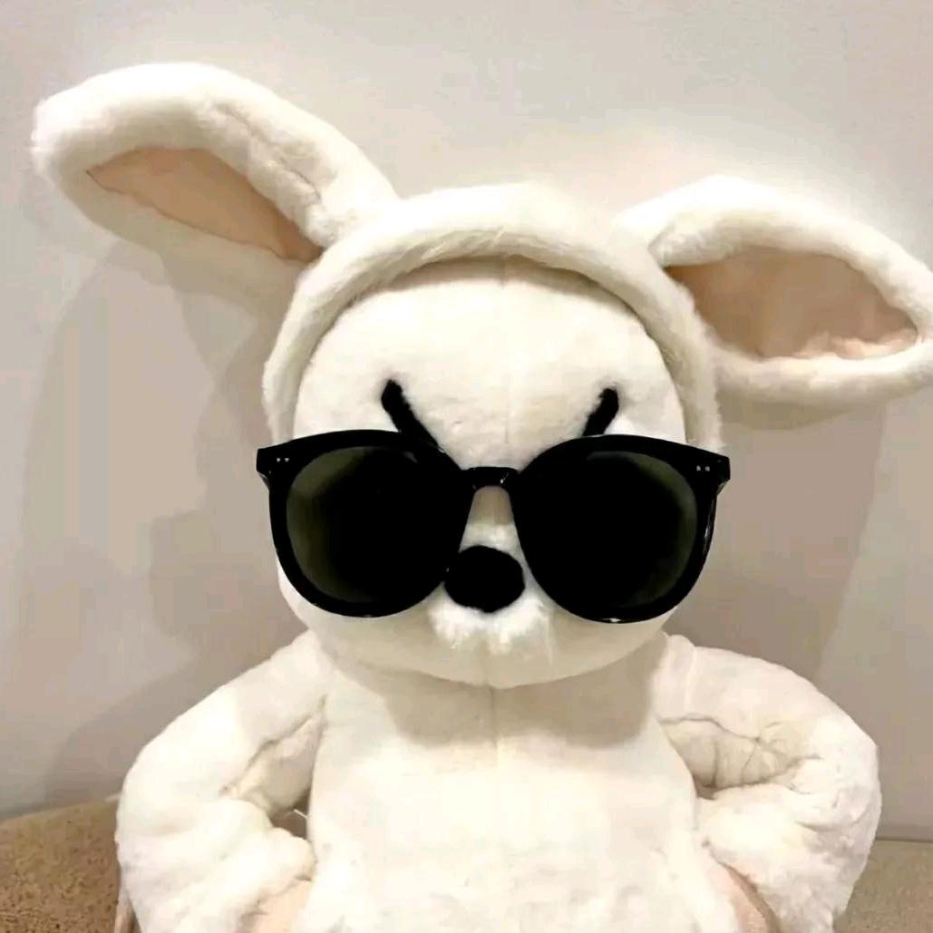 🐰幸运星星🐰