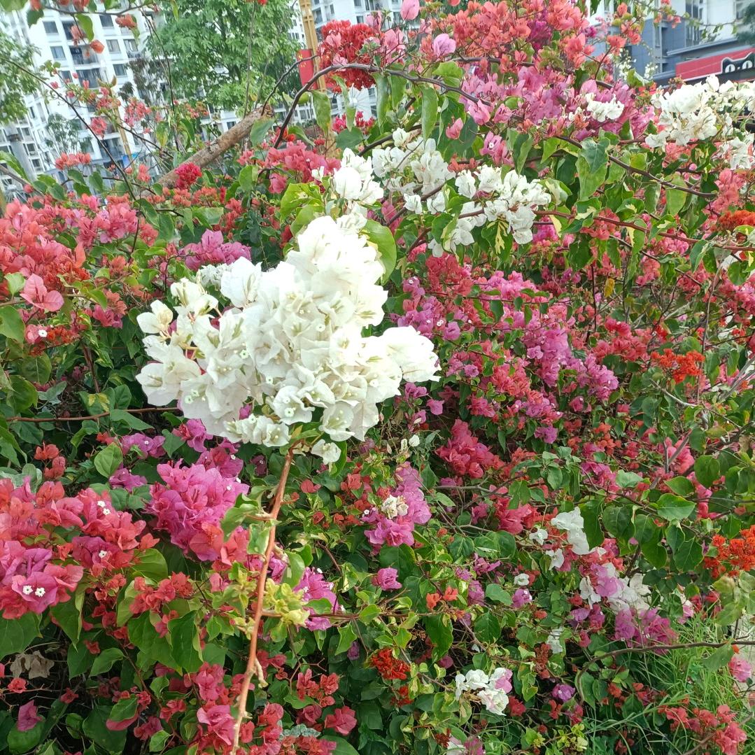 雨含思念
