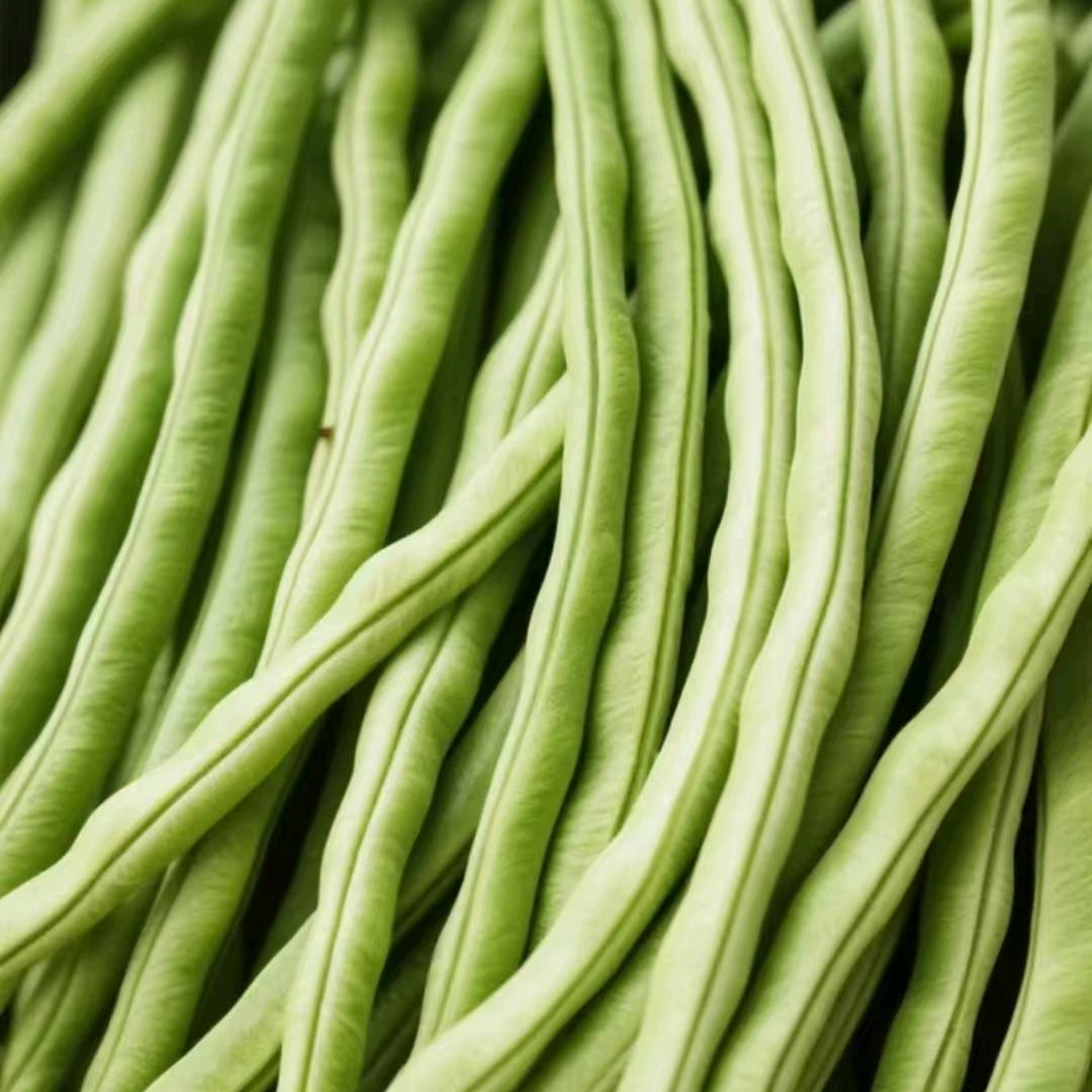 豆角多少钱一斤