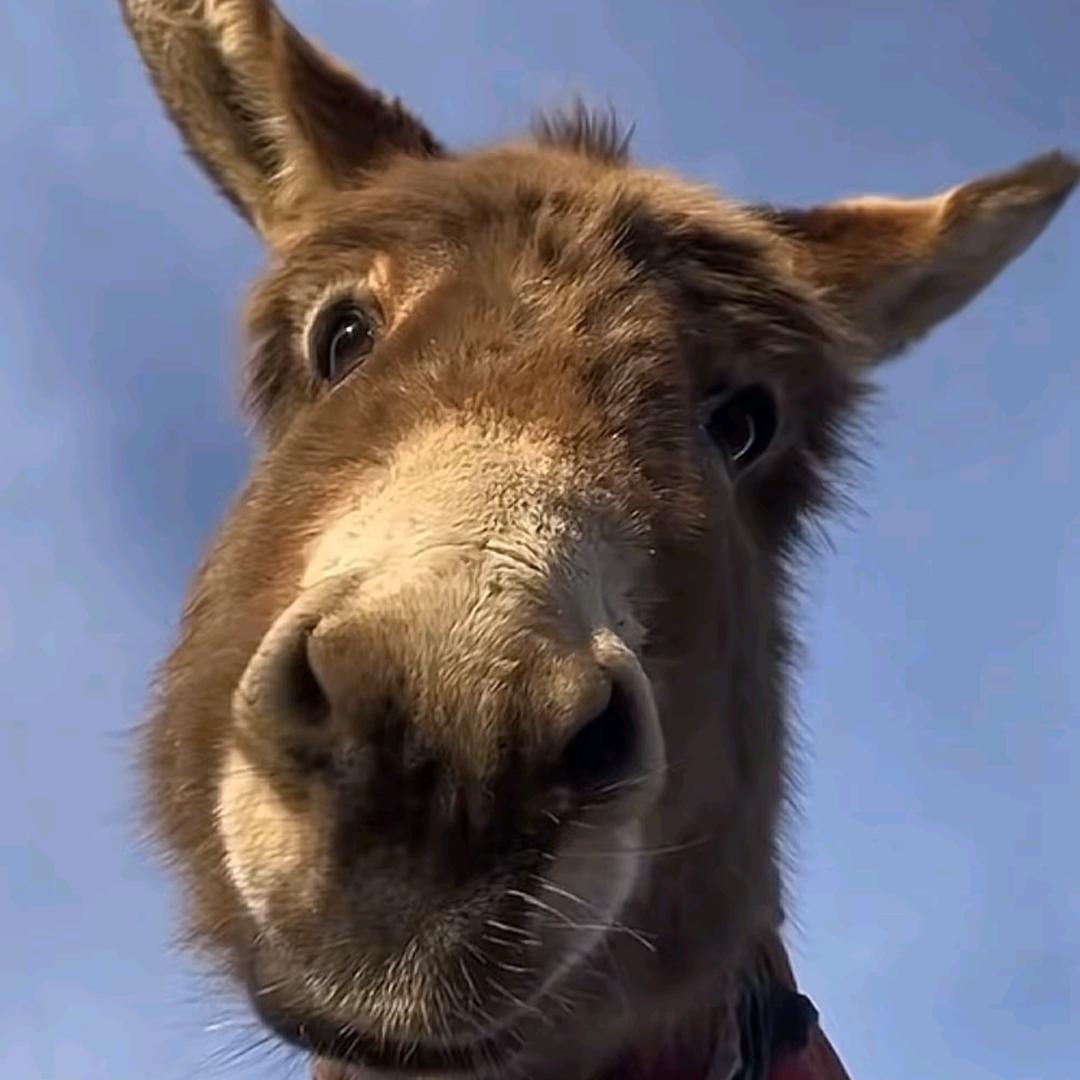 雪上一枝蒿🌴    　　　    🪳