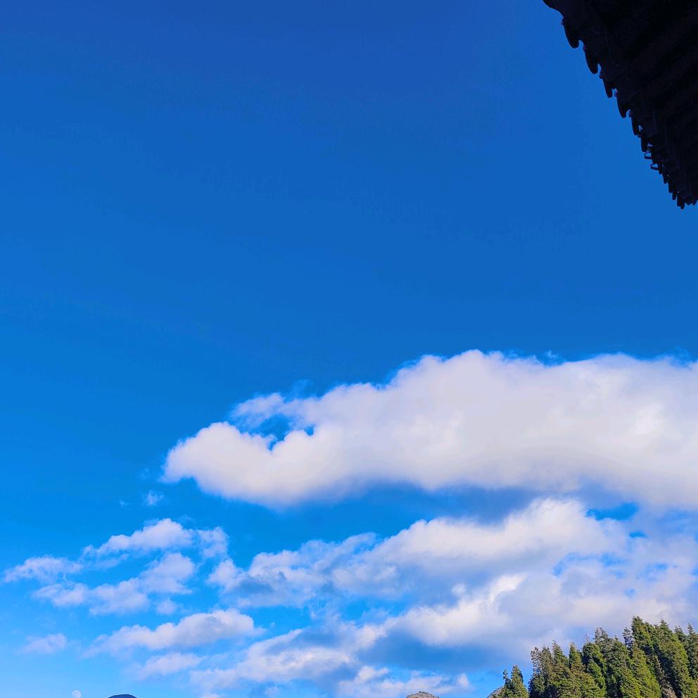 ✐✎贺吾福✐✎