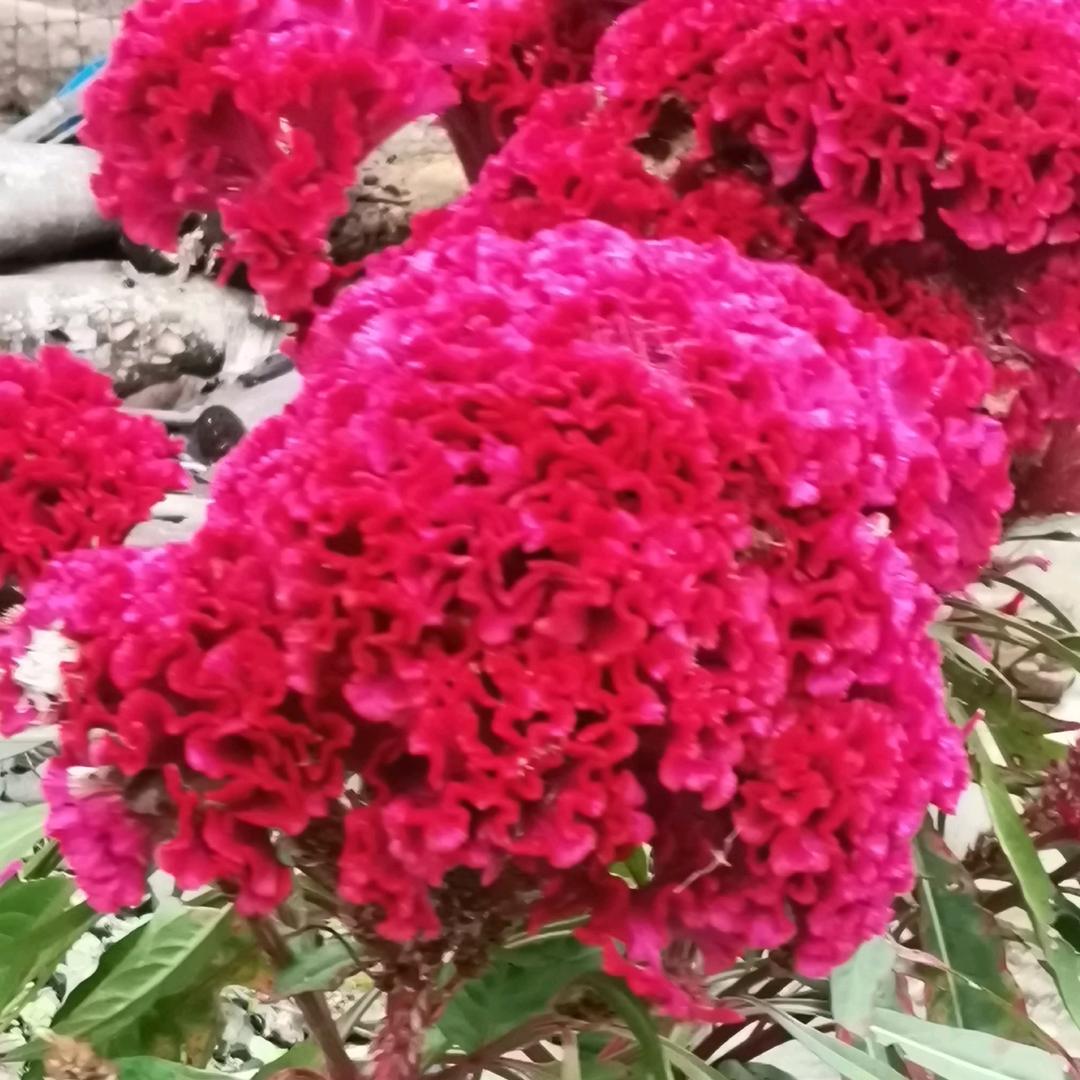 相逢是缘