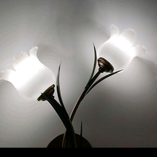 农村小丑七零后单身。直播对口型。