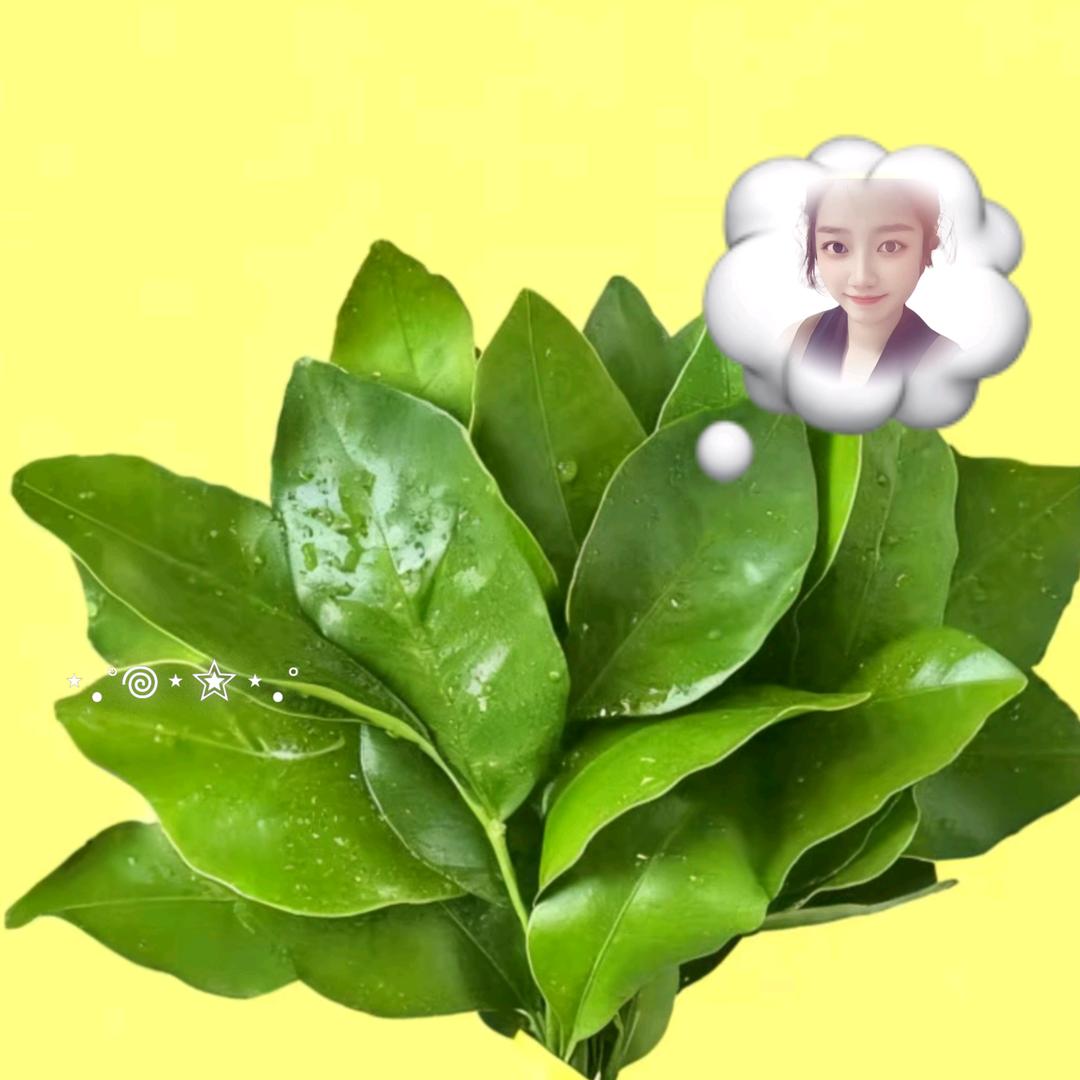 于小鱼🐠
