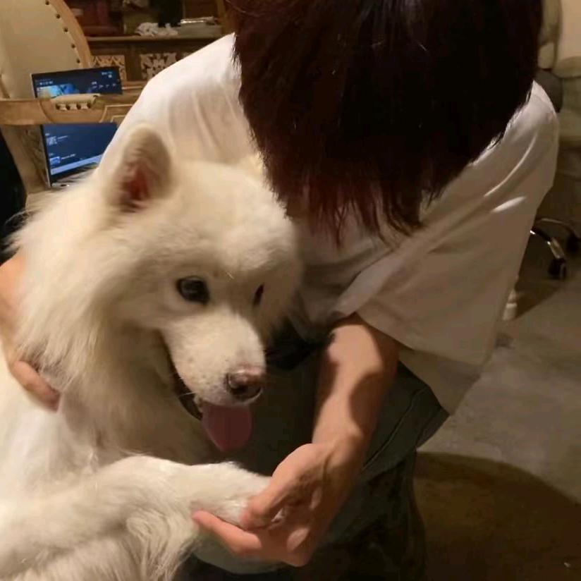 凌